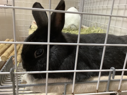 AF193C78-B0C9-4CD4-AB18-3D570B771E83