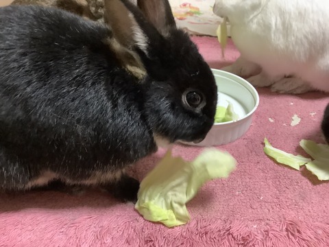 CEDED6D5-51CE-4E77-B6EA-65FDCA3F44C0