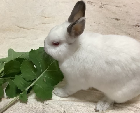 96C1F9ED-0A34-4B48-905C-895B62DC7753