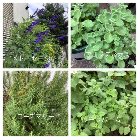 26868B68-17DA-4F84-96C6-23680A8EC1C1