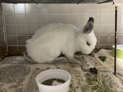 ABDFB911-C968-4EE8-BBD0-69BEA6BE8D19