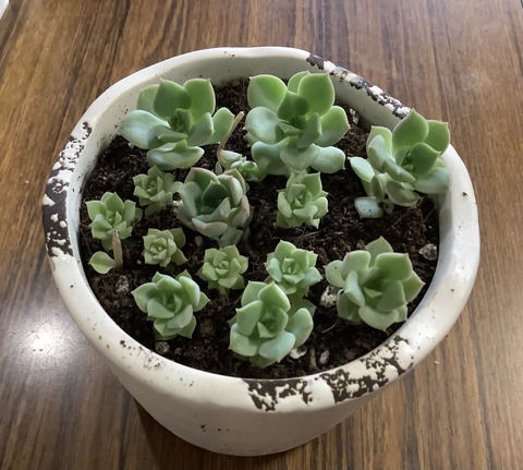 6565C4E9-5C57-46C9-B82E-C82E6B56FCF9