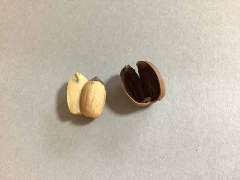 A63B1E66-31A7-4890-9332-1C56CF0D8DA1