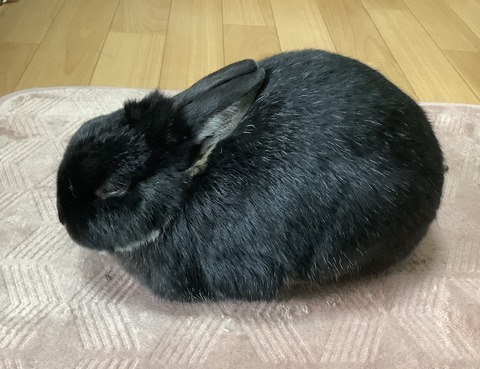 6B9C8DAB-5DEC-4582-9937-4225C94C4656