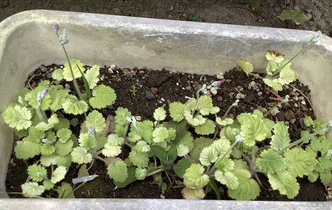 FC028F7C-8F83-4697-BE63-99B221213158