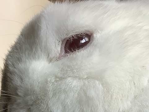 DE10E6C9-5067-4BFB-B860-A8F61172F5FC