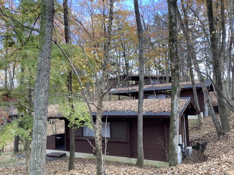 D9A80DC4-1D0F-442B-A96A-D333B362CF71