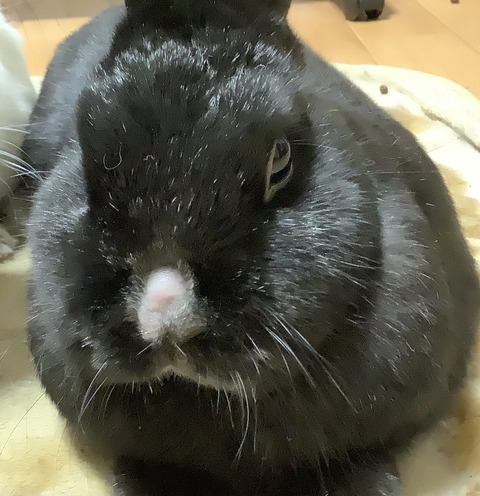 BCE939E3-3A3B-4EB0-802E-82B3F5DF09DB