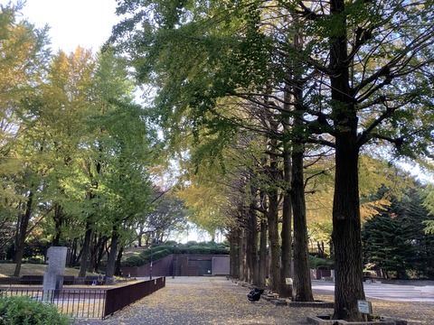 CF6C8813-1111-42C3-ABE6-6EC0F1C51464