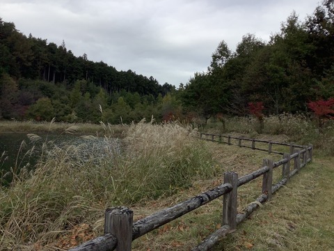 B5DBBD7D-2E21-4C62-A206-6B76DEA20F6D