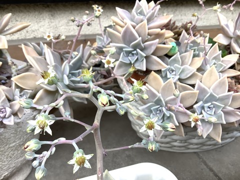 4A08F301-5372-4FA6-9C43-553B8C0DB001