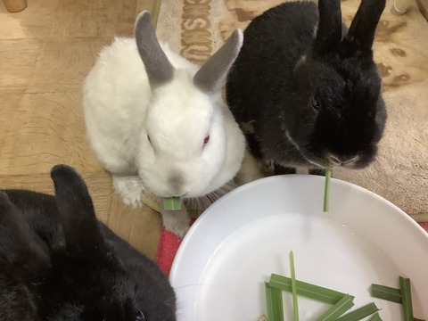 A0FE42F9-8EFD-4679-80B5-2C53A689AACC