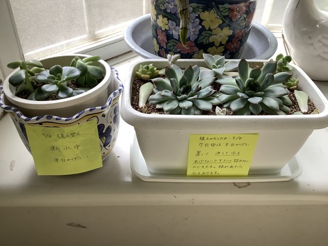 3BDA3CC2-A220-4039-BE27-1DFB7DC9495C