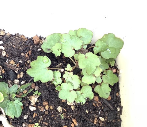 0FBC12A0-2F7A-4528-AA71-7A4FBDA5088C