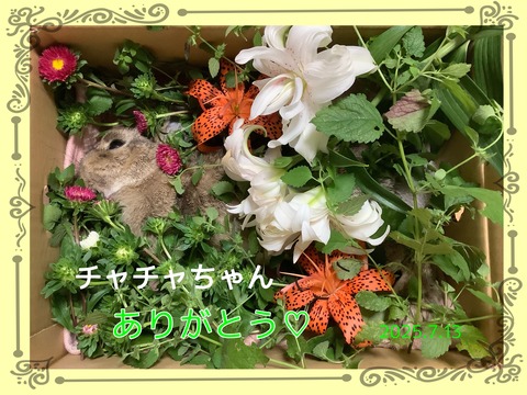 無題675_20250713173201