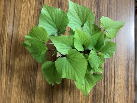 065418BA-ED3F-41B0-8C35-D62222B89BFD