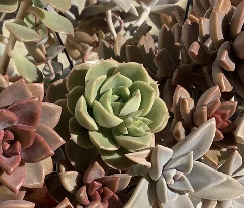 45F99968-C3D6-49FC-A11B-678455F6DF98