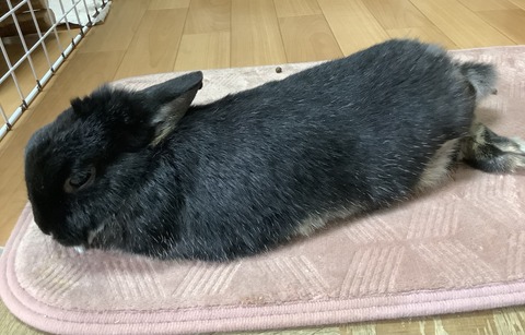 469467CC-D138-4D02-8CB3-990FE33DFC5A