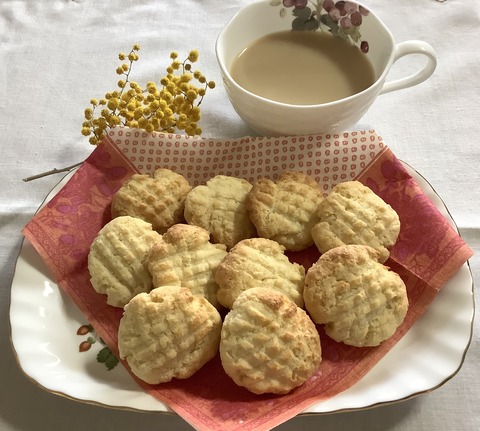 B4B41C43-226F-46DF-9614-B6F8DFBCC77D