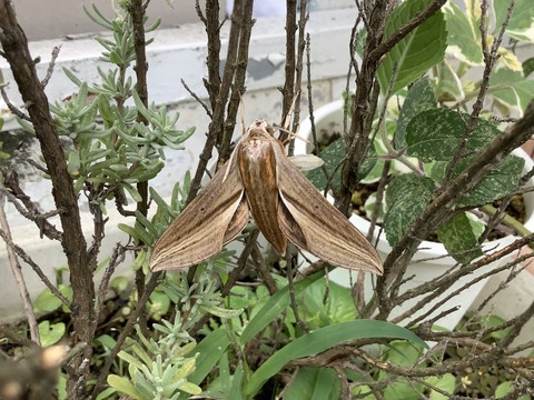 73EFE472-BCAC-4016-A37A-396ED5F94803