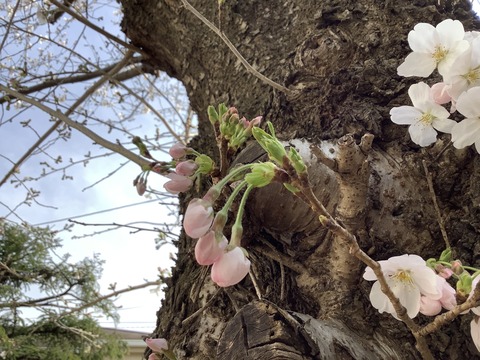 D3FB7301-8A93-427C-A788-7745CC93DCBD