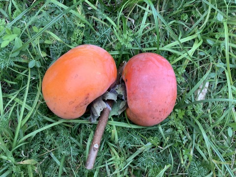 7FD427C7-ABE0-4D9D-95E7-1ADF5801D669