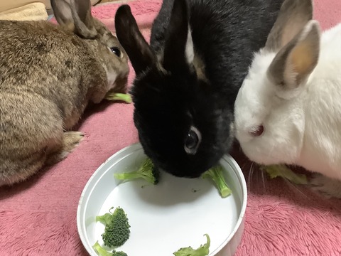 89C76B28-35AE-480C-81D9-968BBCB1455A