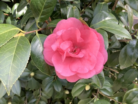 611F021F-75B9-4DE0-A2AD-E10A8EB5F078