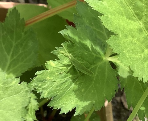 CE37CE0B-60FA-46D4-A566-C6672CBC282D