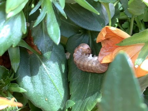 7C51ABF4-6E6B-4A3B-A62C-84A68892028F