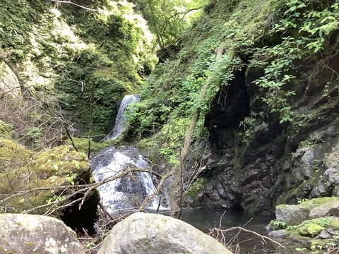 35ADD33A-0153-4903-AB31-8BF960F4F41A