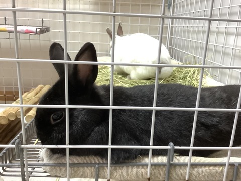 4556BC53-73C1-46B1-8083-EC04656E94CA