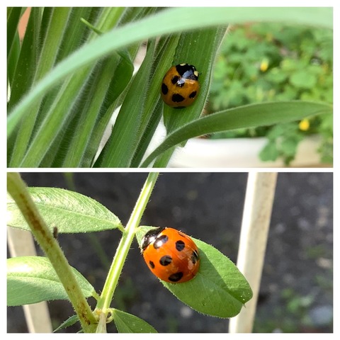 61292553-5177-4933-A6E6-C25ADC3CAF0F