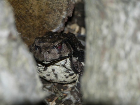 D385DD89-E792-46C4-8F97-C9C0C6DC65DB