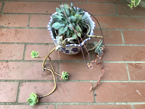 6181D3E1-7906-4C00-884F-89722BD1EF89