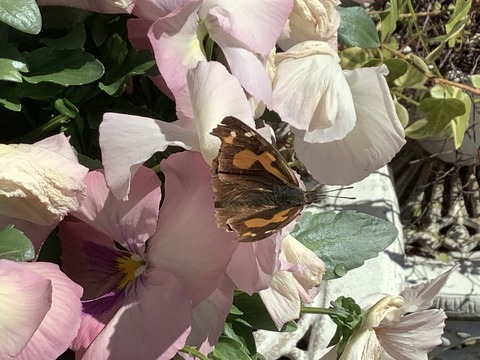 DAB19430-09F3-4A70-A44A-D1035BA9C213