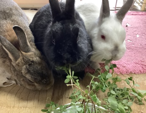 76382F5E-E621-4E7B-8BFE-4DB21F15FB91