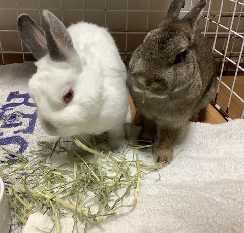 AE0877B4-EC87-4B3A-989F-63268F68BBC2