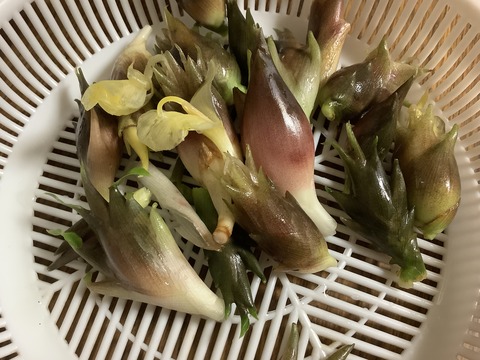 C7BBAB79-DCBE-4995-B7B1-0AF50A9D0161