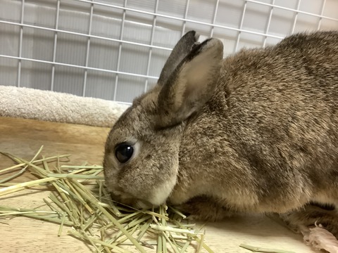 DC0022C7-A35C-4F92-825D-EE1667666C17