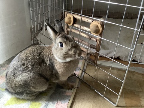 A256D804-F641-4B6A-B769-EB0E02F66522