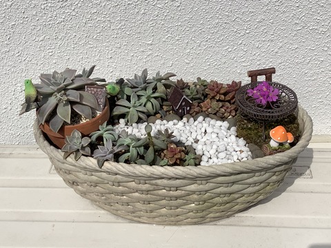 D9BC422C-7A53-46E6-B990-D576A777EC96