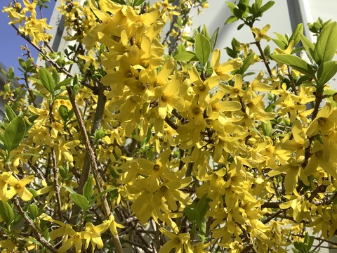 0DAC5611-C3F3-4136-B1C0-3FEC34FC38B4