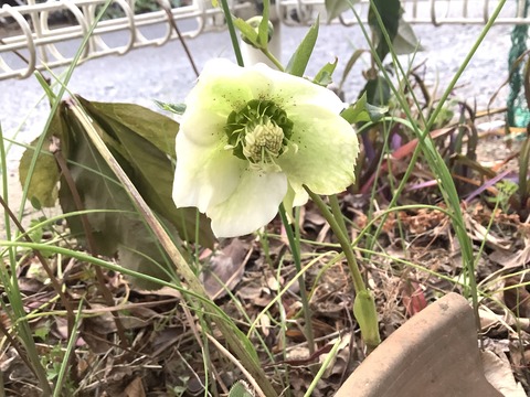 64473A14-A798-4FBC-9CBF-102DA2E2A54E