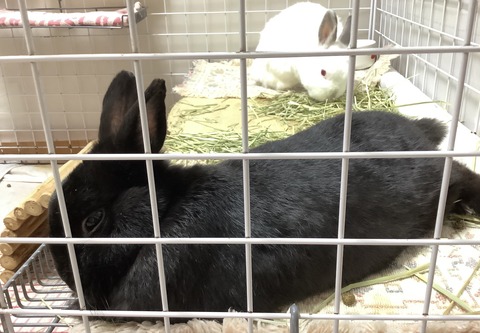 6A1B6891-6D69-4DAD-8CD4-39659EFF49AB