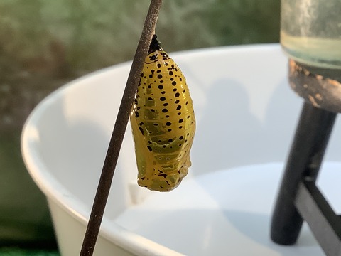 D75EB26F-5657-434E-ABFC-8262C114A9C4