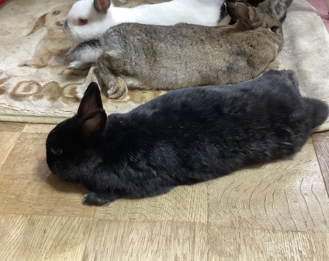 F94376EA-833E-4F18-8AC6-3D42A42F098B