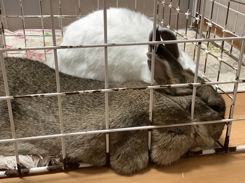 5E0BD7A2-0E81-49F1-9656-E38DE49F5A3A