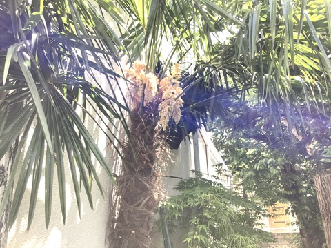 77897562-DDB3-44FD-B94C-BA94EC56FB43