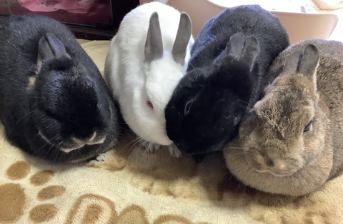 108B2DAC-7493-4713-A8DD-E1CBA262F530